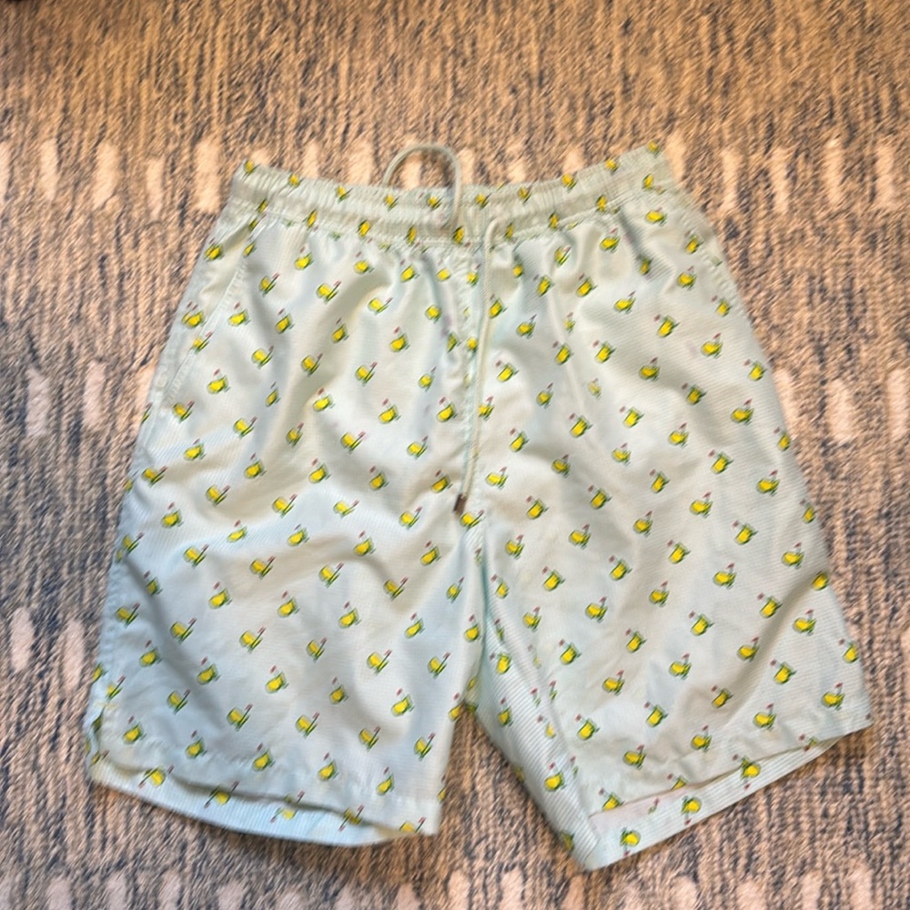Mens Masters Golf Bathing Suit Swim Shorts